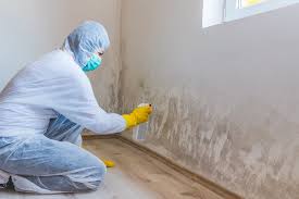 Best Industrial Mold Remediation  in Bella Vista, CA