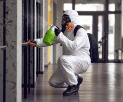 Best Environmental Consulting for Mold Prevention  in Bella Vista, CA